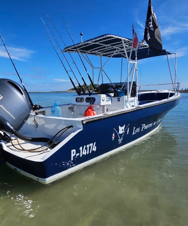 Private Tipsy gull Boat sailing in cabuya